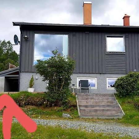 Aurora Rooms For Rent Nr1 We Are Doing Privet Northen Light Trip, Reindeer Trip And Sommaroy Fjord Trip Tromso Exterior photo